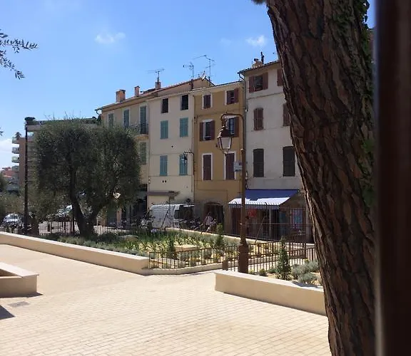 Palme D\'Hote